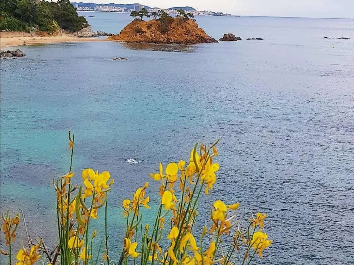 Lloguer30 Los Delfines, Swimming Pools , Near The Beach And With Parking Platja d'Aro