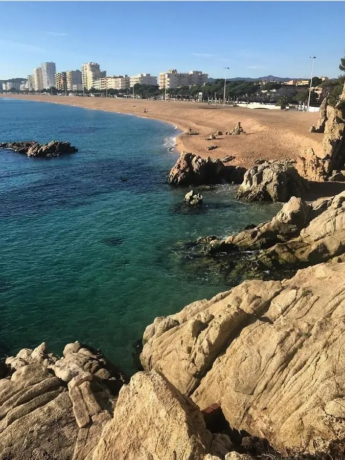 Lloguer30 Los Delfines, Swimming Pools , Near The Beach And With Parking Platja d'Aro 0*,  Spain